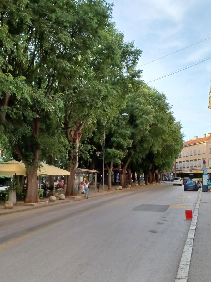 Caligula City Center Apartment Пула Экстерьер фото